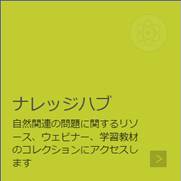テキスト  自動的に生成された説明